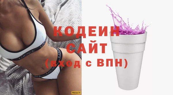 индика Туринск