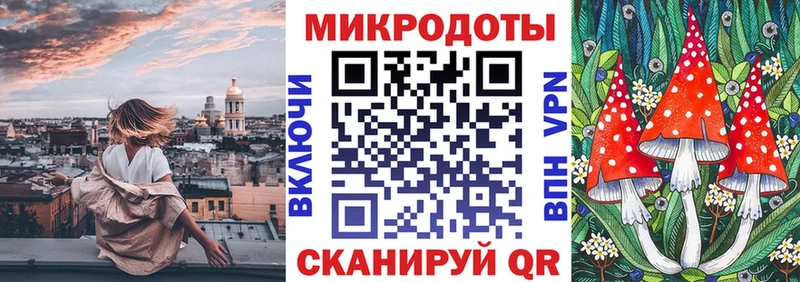 Галлюциногенные грибы Psilocybine cubensis  хочу наркоту  Купино 